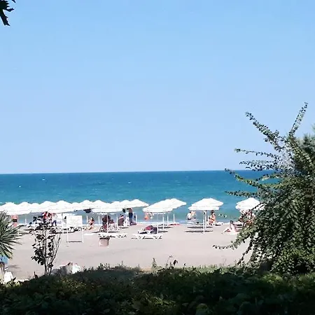 Flora 1 * Μπουργκάς