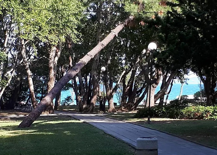 Flora 1 * Бургас